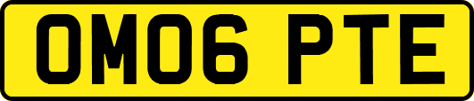 OM06PTE
