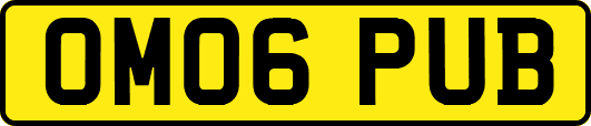 OM06PUB