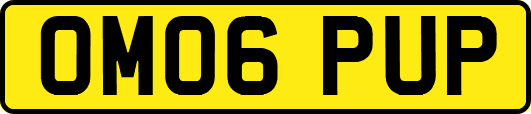 OM06PUP