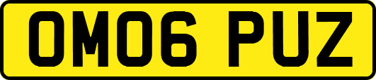 OM06PUZ