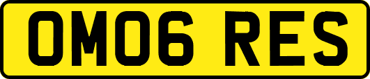 OM06RES