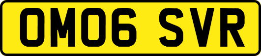 OM06SVR