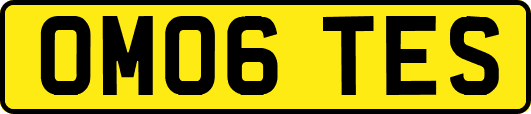 OM06TES