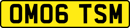 OM06TSM