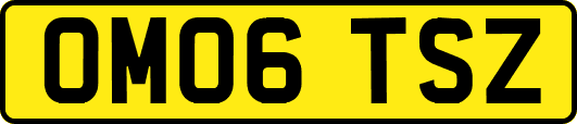 OM06TSZ