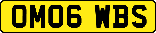 OM06WBS