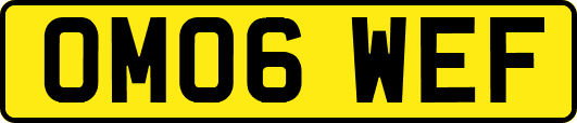 OM06WEF