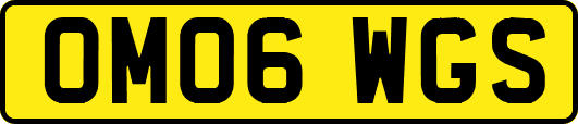 OM06WGS
