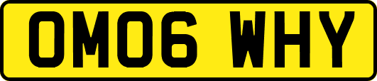 OM06WHY