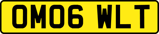 OM06WLT