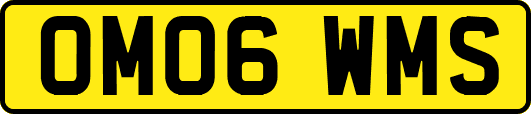OM06WMS