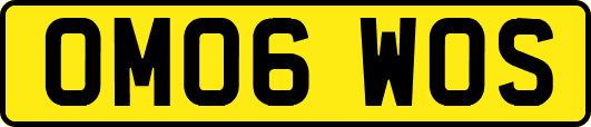 OM06WOS