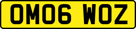 OM06WOZ