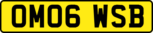 OM06WSB