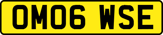 OM06WSE
