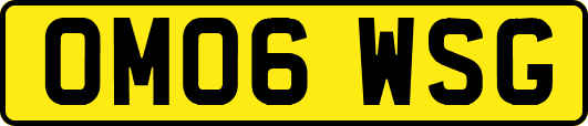 OM06WSG