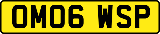 OM06WSP