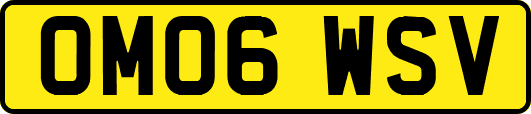 OM06WSV