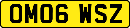 OM06WSZ