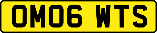 OM06WTS