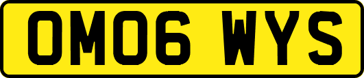 OM06WYS