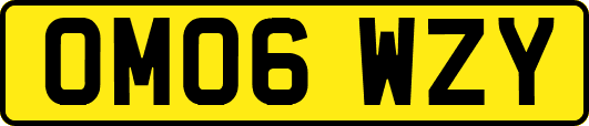 OM06WZY