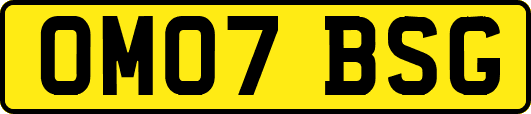 OM07BSG