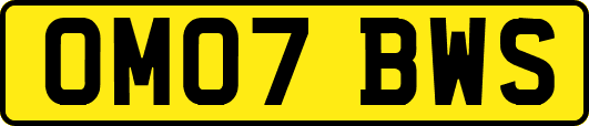 OM07BWS