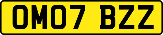 OM07BZZ