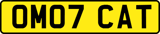 OM07CAT