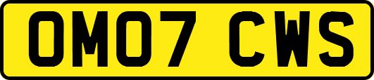 OM07CWS