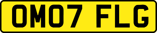 OM07FLG