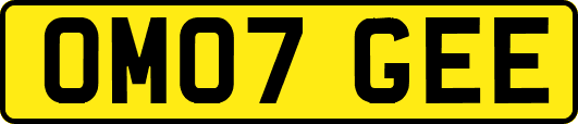 OM07GEE