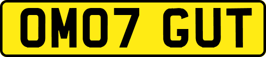 OM07GUT