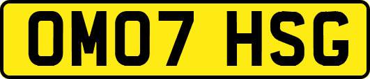 OM07HSG
