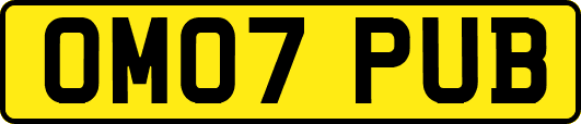 OM07PUB