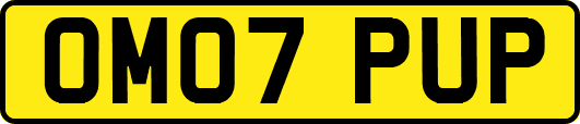 OM07PUP