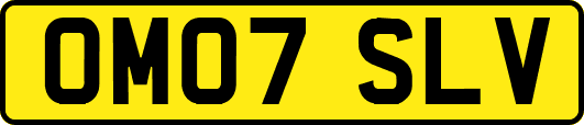 OM07SLV