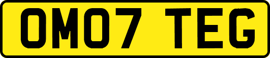 OM07TEG