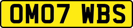 OM07WBS