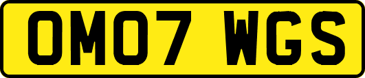 OM07WGS