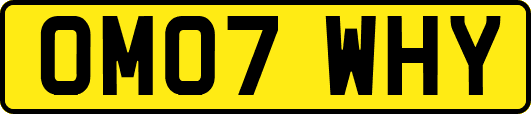 OM07WHY