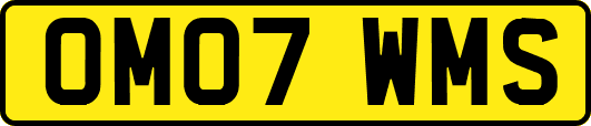 OM07WMS