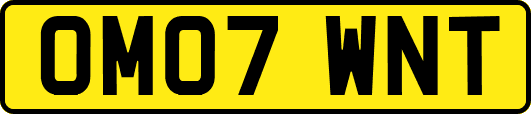 OM07WNT