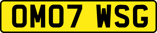 OM07WSG