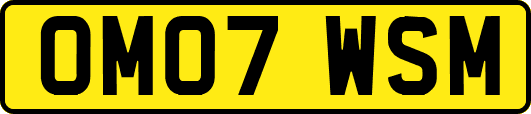 OM07WSM