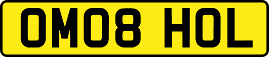 OM08HOL