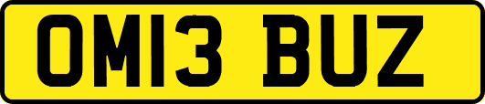 OM13BUZ