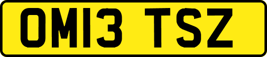 OM13TSZ