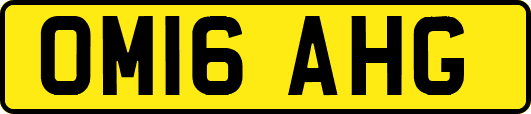 OM16AHG